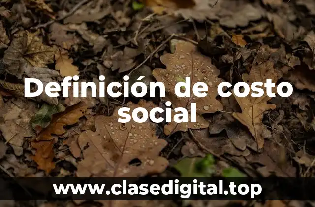 Definición de costo social