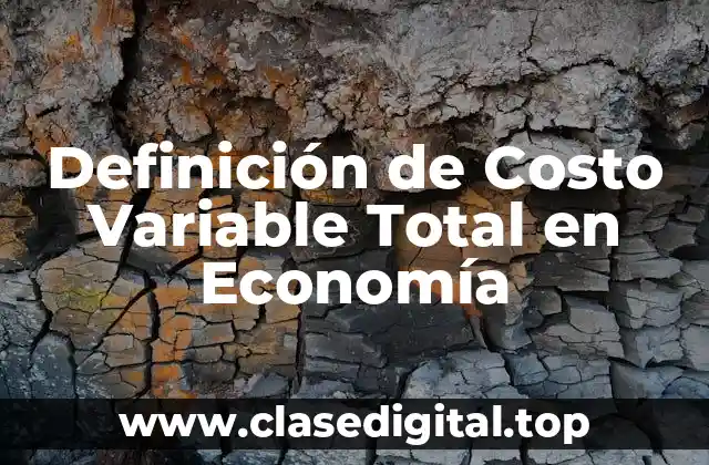 Definición de Costo Variable Total en Economía