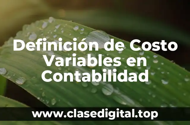Definición de Costo Variables en Contabilidad