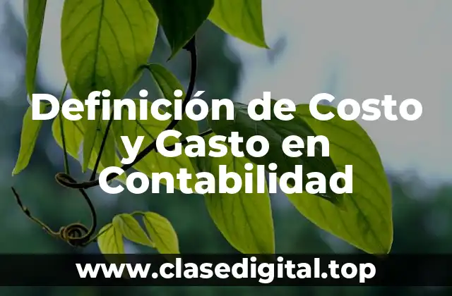 Definición de Costo y Gasto en Contabilidad