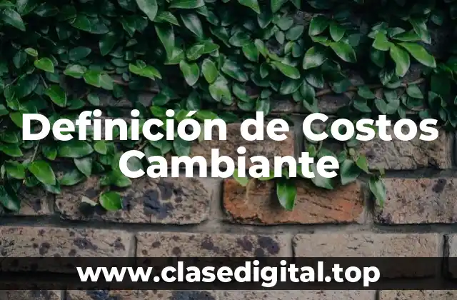 Definición de Costos Cambiante