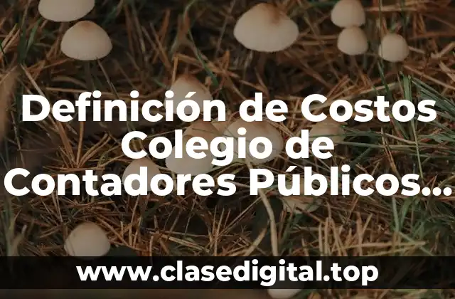Definición de Costos Colegio de Contadores Públicos de México