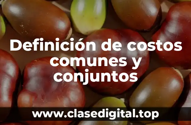 Definición técnica de costos comunes y conjuntos