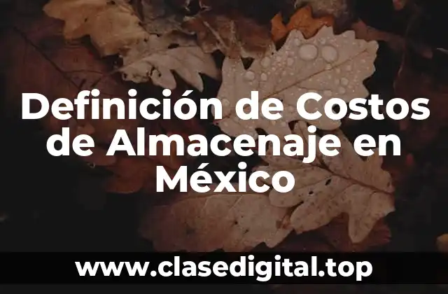 Definición de Costos de Almacenaje en México
