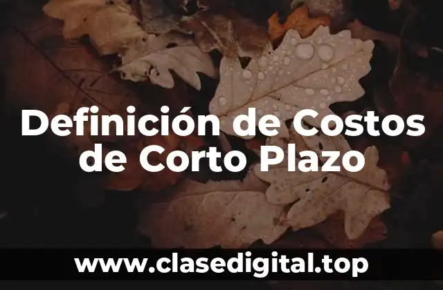 Definición de Costos de Corto Plazo