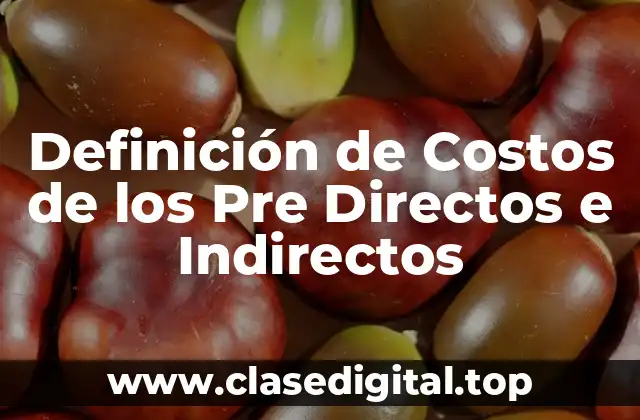 Definición de Costos de los Pre Directos e Indirectos