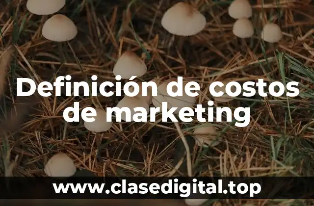 Definición de costos de marketing