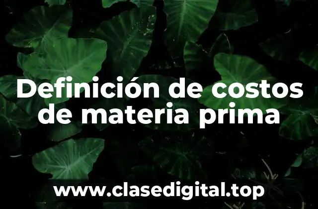 Definición de costos de materia prima