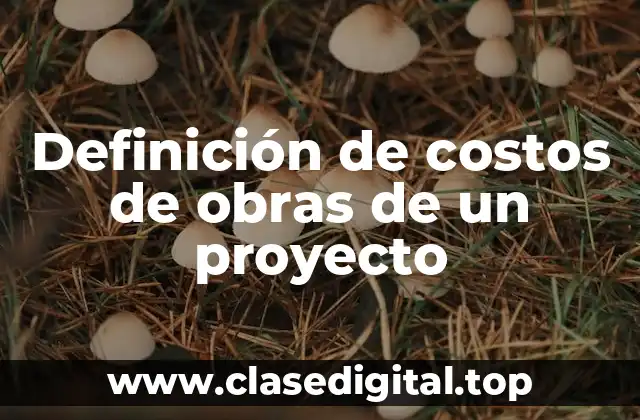 Definición de costos de obras de un proyecto