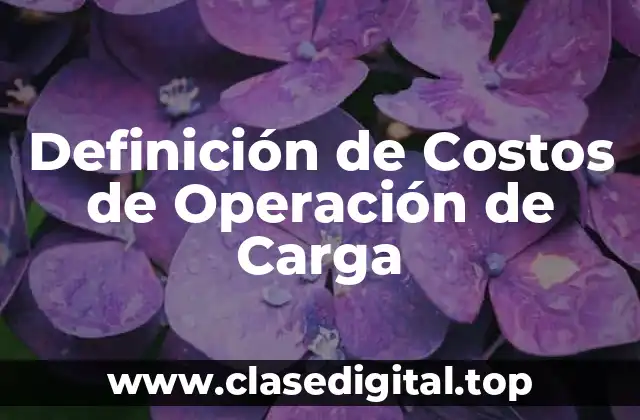 Definición de Costos de Operación de Carga