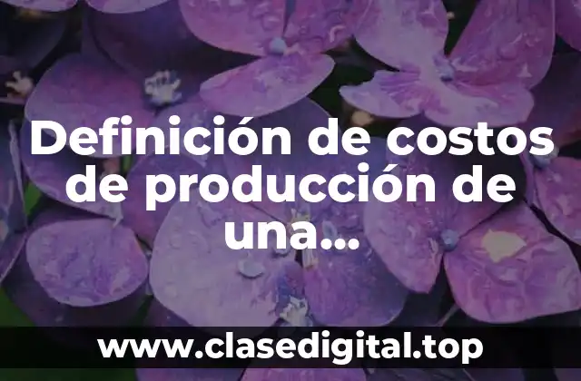 Ejemplos de costos de producción de una comercializadora