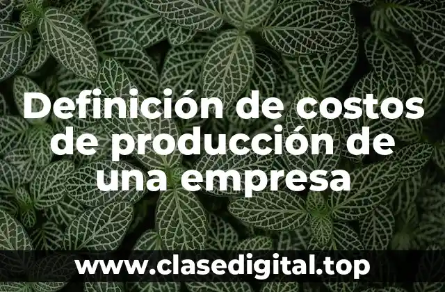 Definición de costos de producción de una empresa