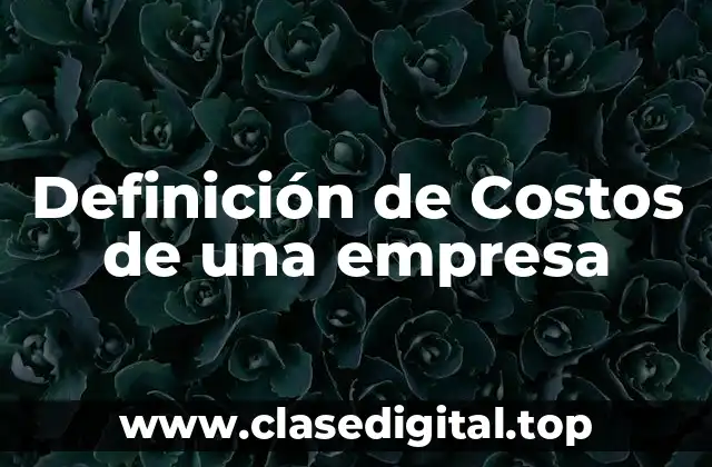 Definición de Costos de una empresa