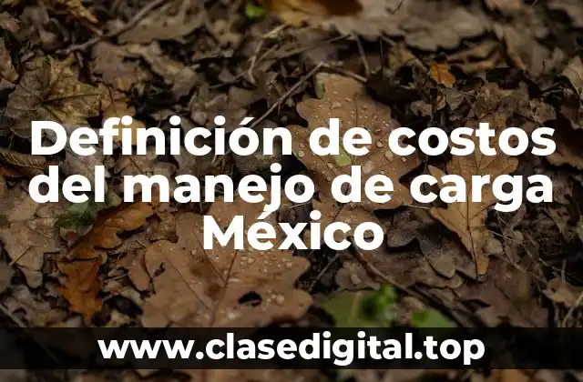Definición de costos del manejo de carga México
