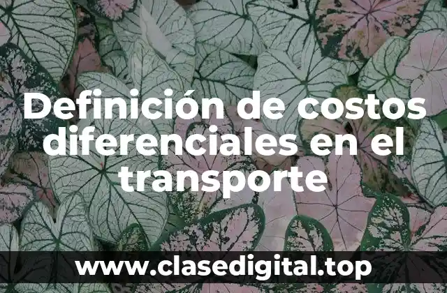 Definición de costos diferenciales en el transporte