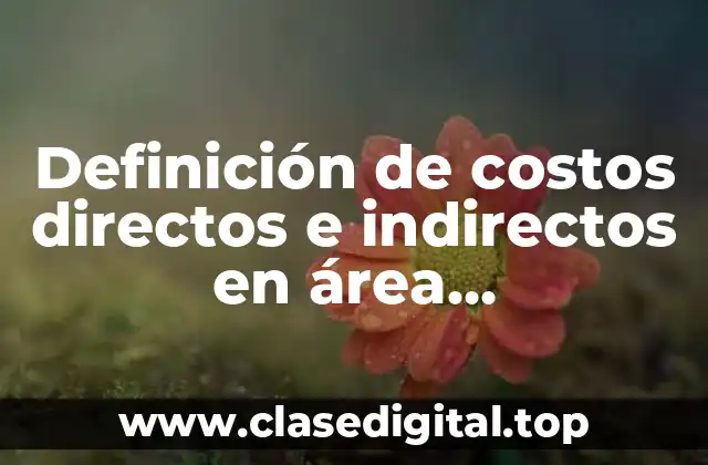 Definición de costos directos e indirectos en área gastronomica