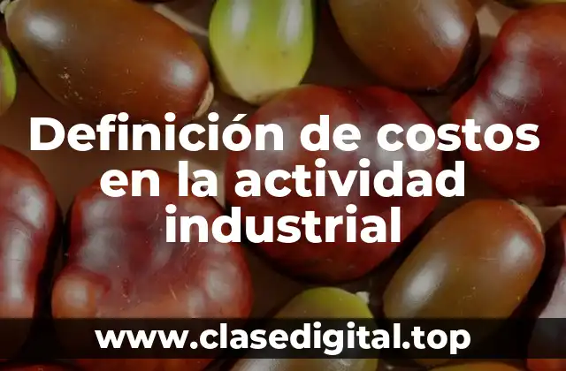 Definición de costos en la actividad industrial