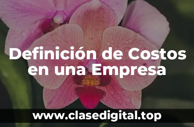 Definición de Costos en una Empresa