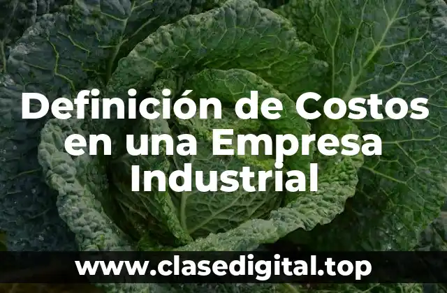 Definición de Costos en una Empresa Industrial