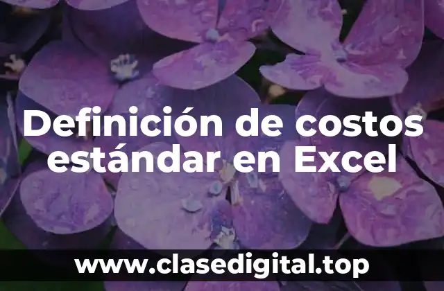 Definición de costos estándar en Excel