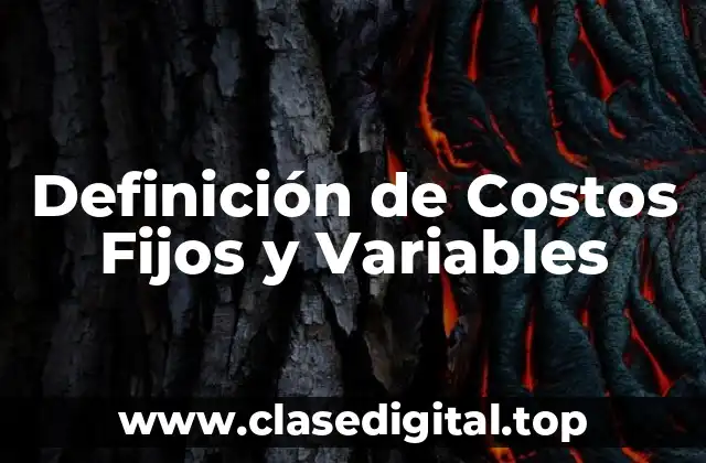 Definición de Costos Fijos y Variables