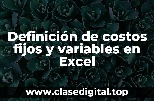 Definición de costos fijos y variables en Excel