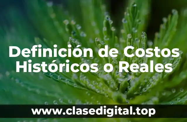 Definición de Costos Históricos o Reales