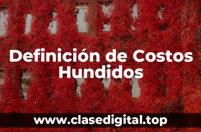 Definición de Costos Hundidos
