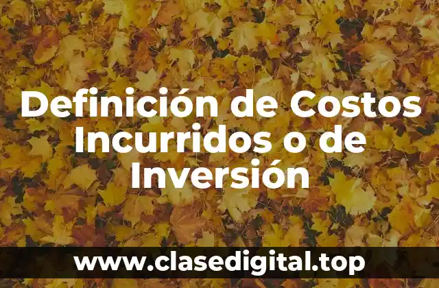 Definición de Costos Incurridos o de Inversión