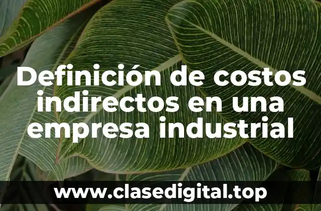 Definición de costos indirectos en una empresa industrial