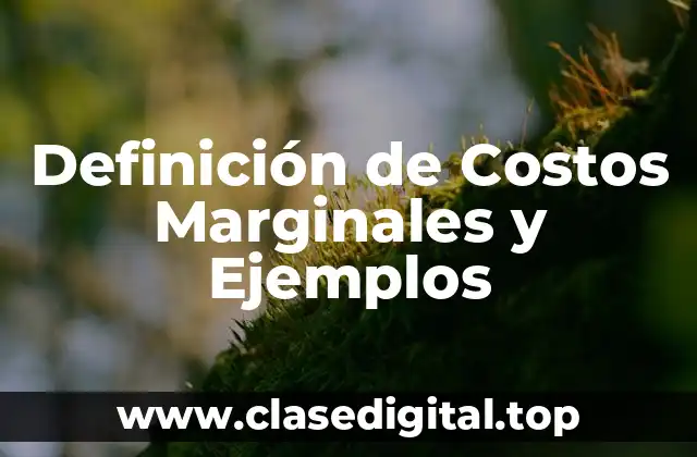 Definición de Costos Marginales y Ejemplos