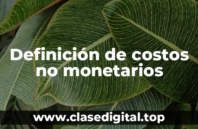 Definición de costos no monetarios