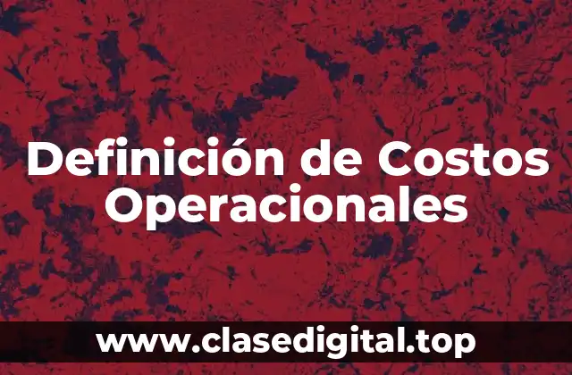 Definición de Costos Operacionales