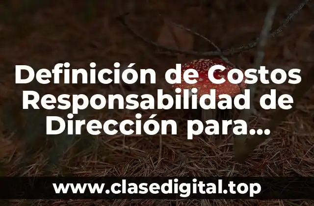 Definición de Costos Responsabilidad de Dirección para Control