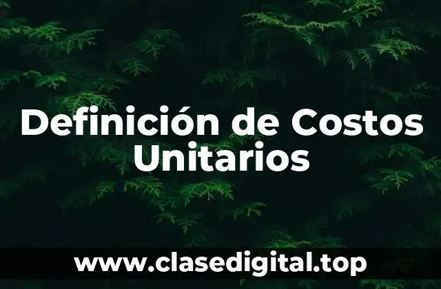 Definición de Costos Unitarios