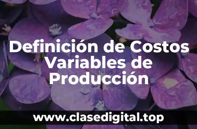 Definición de Costos Variables de Producción
