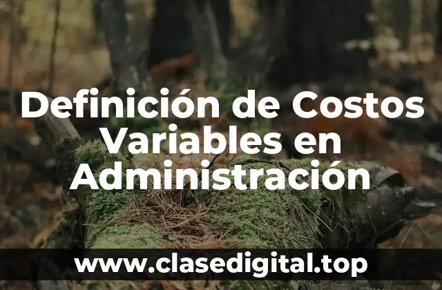 Definición de Costos Variables en Administración