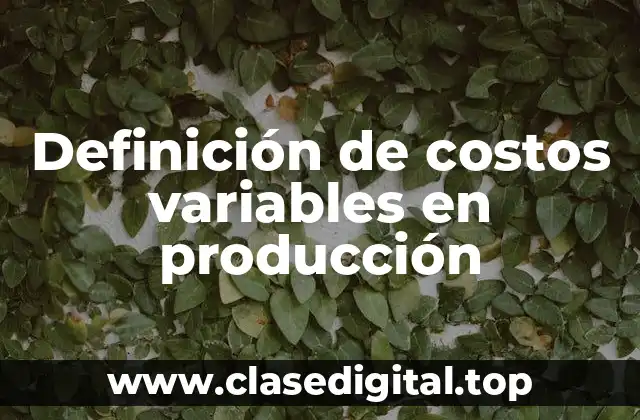 Definición de costos variables en producción