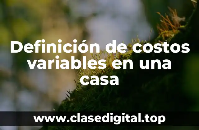 Definición de costos variables en una casa