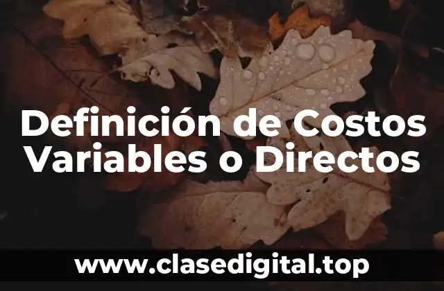 Definición de Costos Variables o Directos