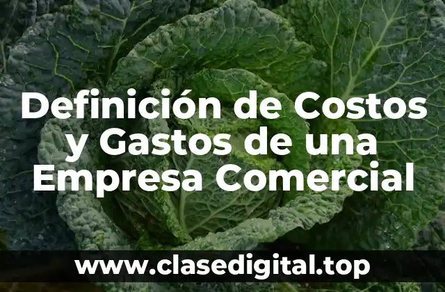 Definición de Costos y Gastos de una Empresa Comercial