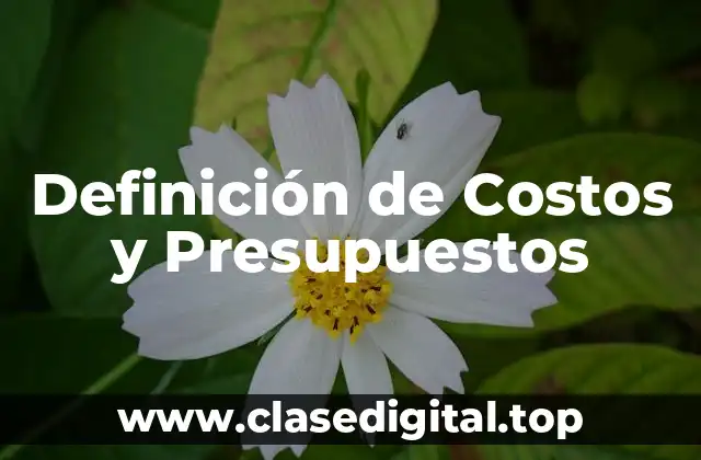 Definición de Costos y Presupuestos