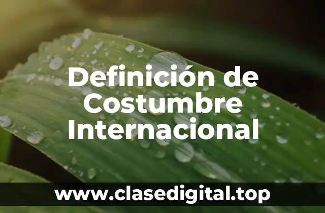 Definición de Costumbre Internacional