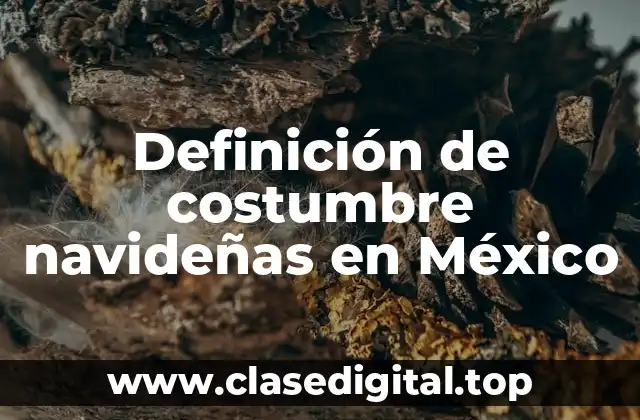 Definición de costumbre navideñas en México