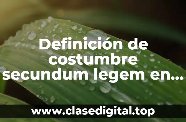 Definición de costumbre secundum legem en Argentina