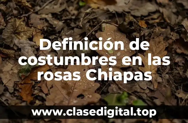 Ejemplos de costumbres en las rosas Chiapas