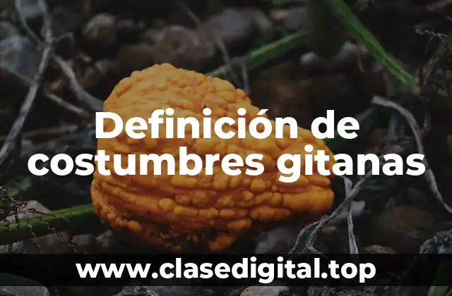 Definición de costumbres gitanas