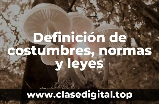 Definición de costumbres, normas y leyes