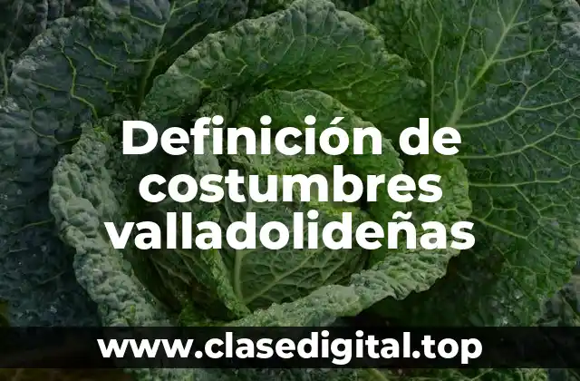 Definición de costumbres valladolideñas