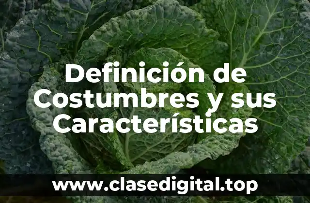 Definición de Costumbres y sus Características